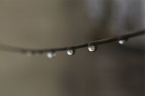 Macro photo of water drops on wire