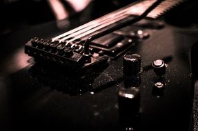 strings of an electric guitar