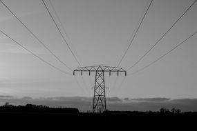 electricity cables in black and white