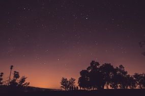 peaceful starry sky