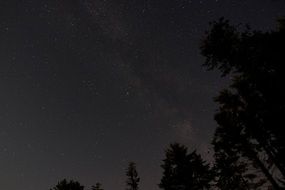 glowing stars at night