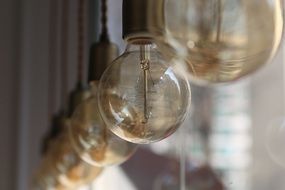 vintage light bulbs in cafe