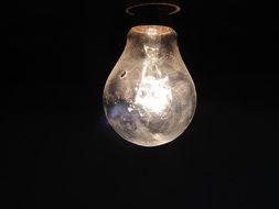 burning light bulb on a dark background