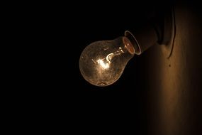 bulb light
