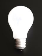 white light bulb