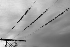 power lines at the background of the cloudy sky