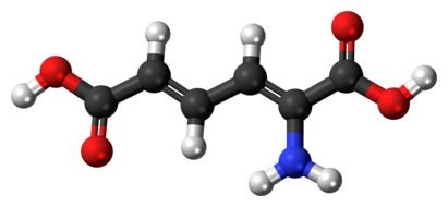 Clipart of aminomuconic acid metabolism