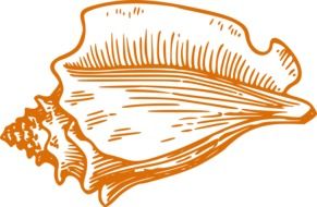 Clipart of Orange shell