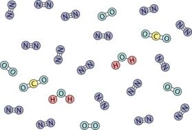 nitrogen and oxygen molecules on a white background