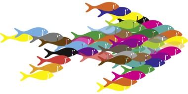 fish swarm together drawing