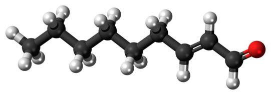 nonenal molecule model