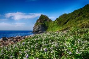 coast with green hills
