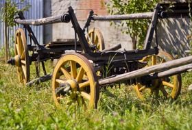 Old carriage on grass