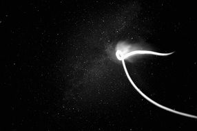 universe stars l
