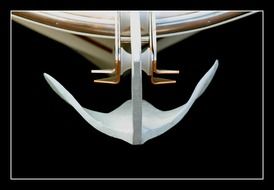 anchor of a ship