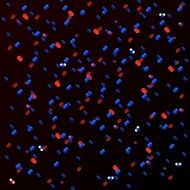 Picture of chemistry molecules