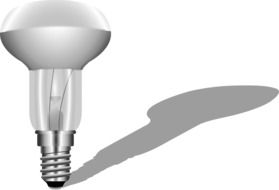 grey bulb