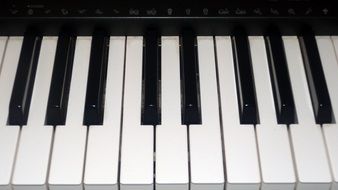 photo of the piano keys