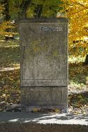 old power distribution box in the park