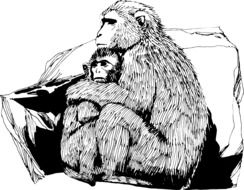 Black and white illustration of the monkeys