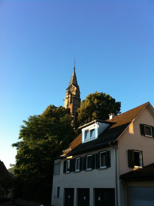 spire of the church between the trees in schwäbisch hall