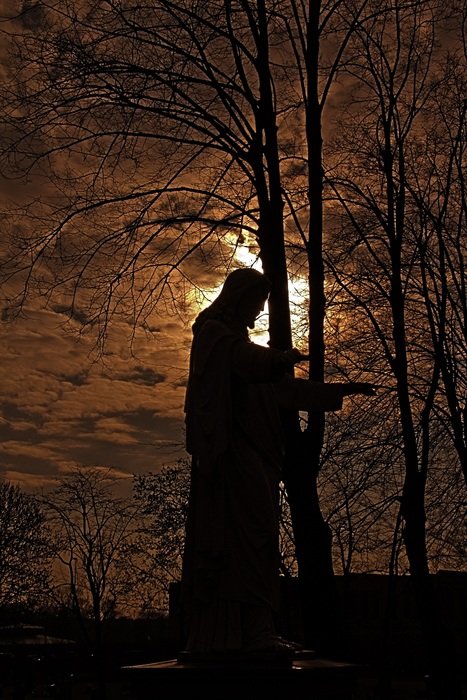 the statue of St. the silhouette