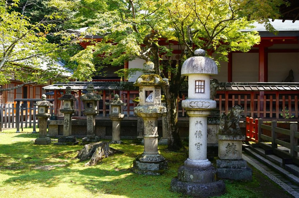 kyoto temple maple