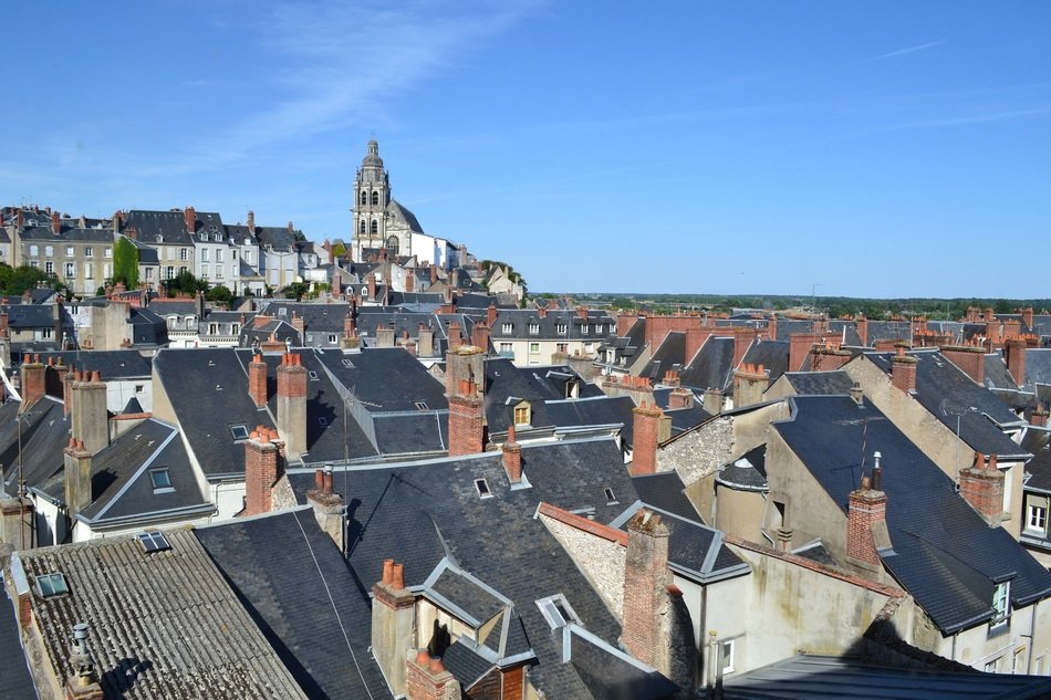A lot of the roofs in France