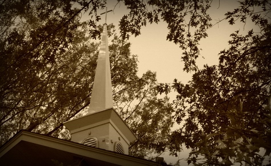 top of the church between the trees