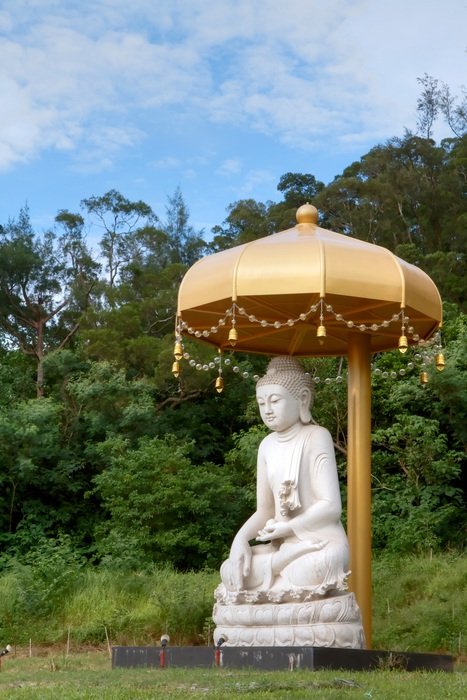 buddha statue under a yellow umbrella
