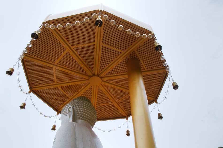 gold canopy over the statue of Buddha