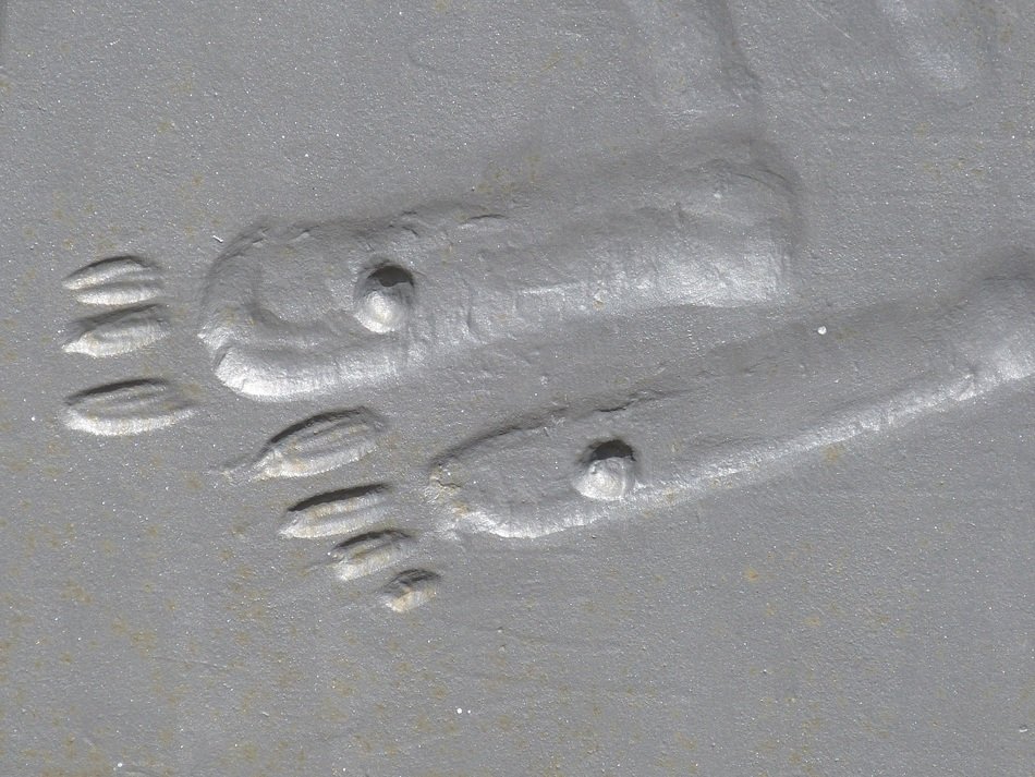 relief of a foot in the sand