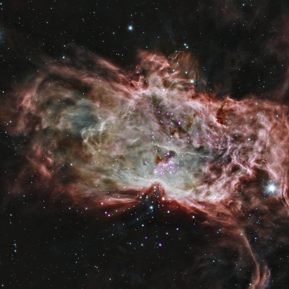 image of flame nebula in outer space