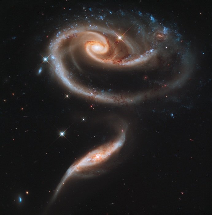 rose shape in the galaxy