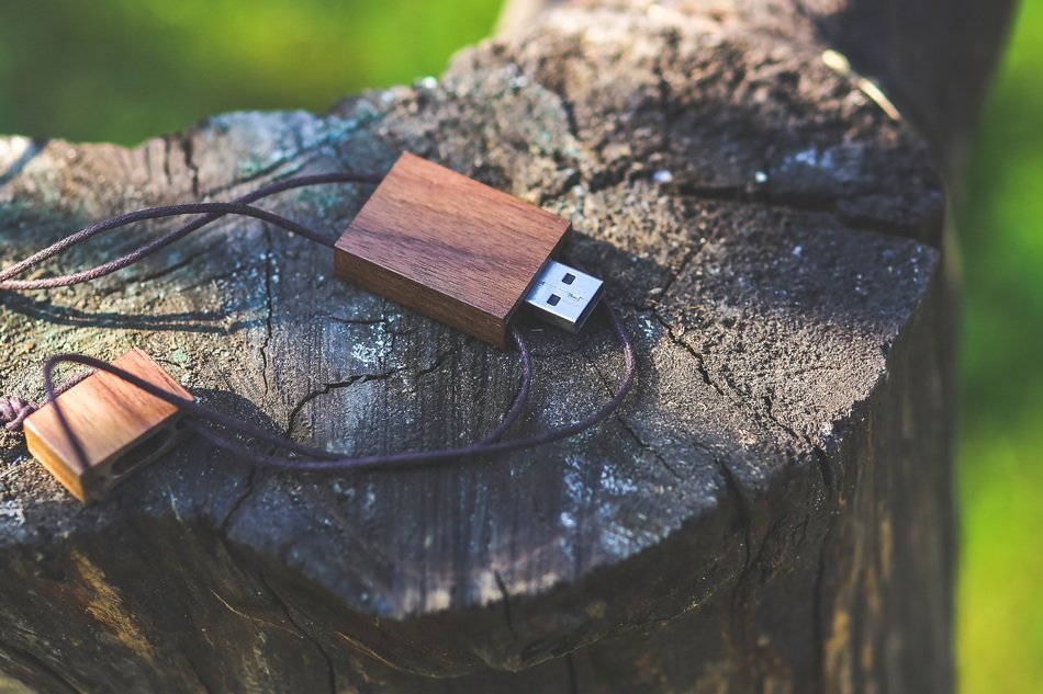 wooden stump and usb flash drive