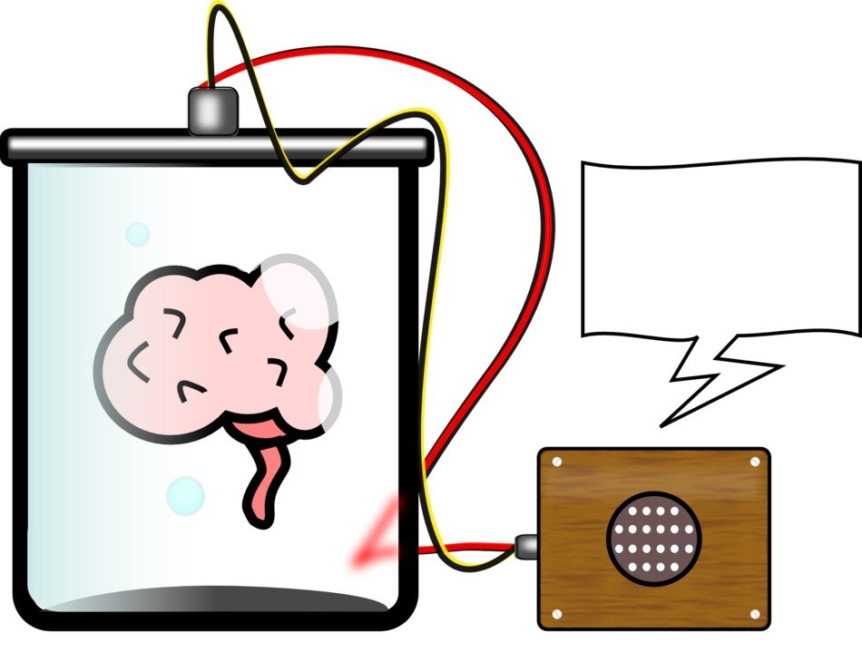 clipart of the brain in a flask
