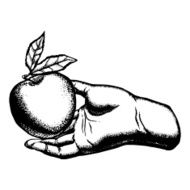 healthy food eco food N3