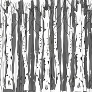 Background of birch trunks