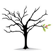 New life N2