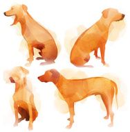 Dog Set Ridgeback
