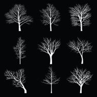 Trees with dead branch N98