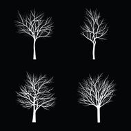 Trees with dead branch N99