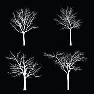 Trees with dead branch N100