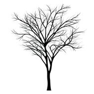 Trees with dead branch N101