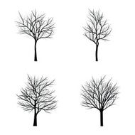 Trees with dead branch N102