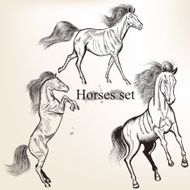 Collection of vector hand drawn horses for design