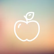Apple thin line icon N2
