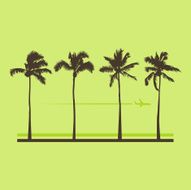 palm tree vacation