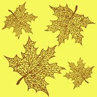 pattern of maple leaves N2