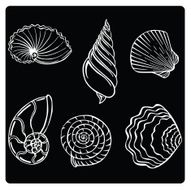 vector illustration silhouettes of shells N2